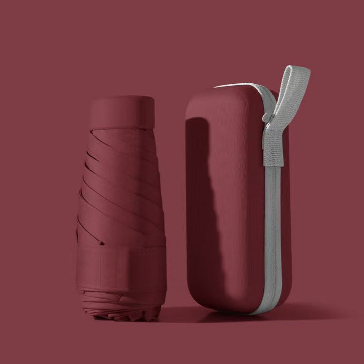 Compact Travel Umbrella And Case