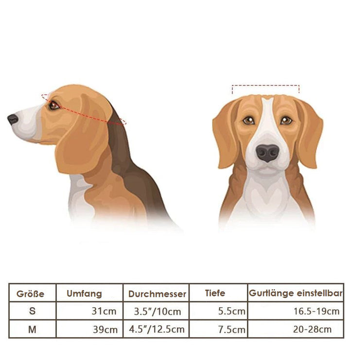 Helmet and Protective Goggles for Dogs – Stylish and Safe
