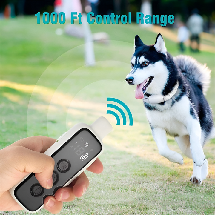Dog Training Collar with Remote