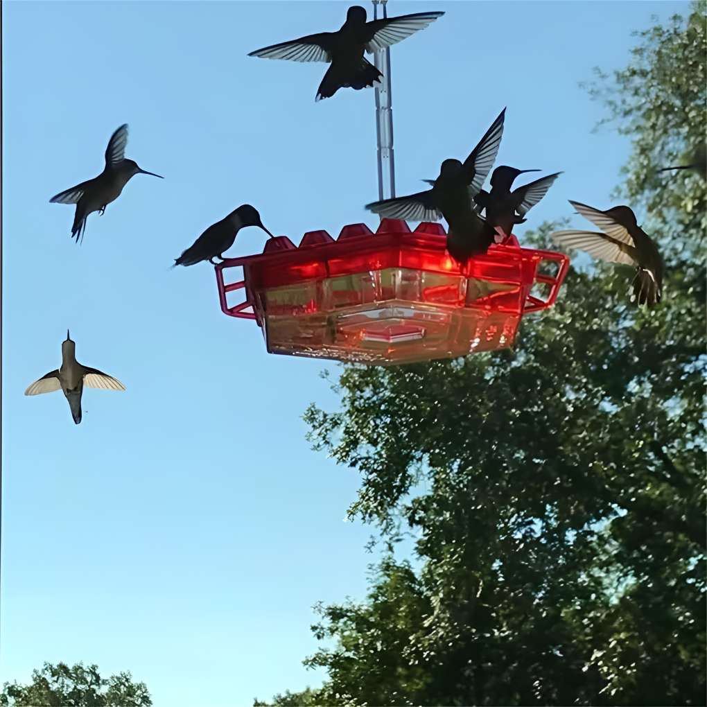 Ant Proof Hummingbird Feeder
