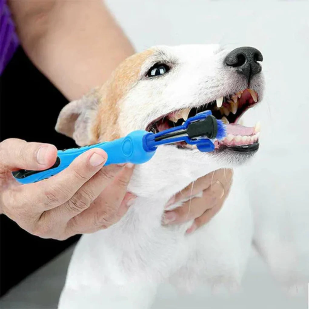 3-Head Dog Toothbrush – Effective Cleaning for Everyday Care
