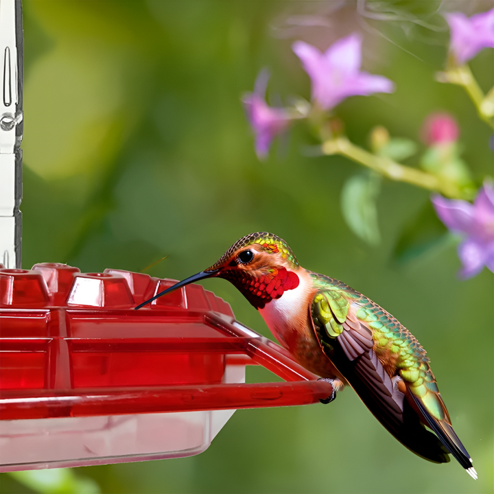 Ant Proof Hummingbird Feeder