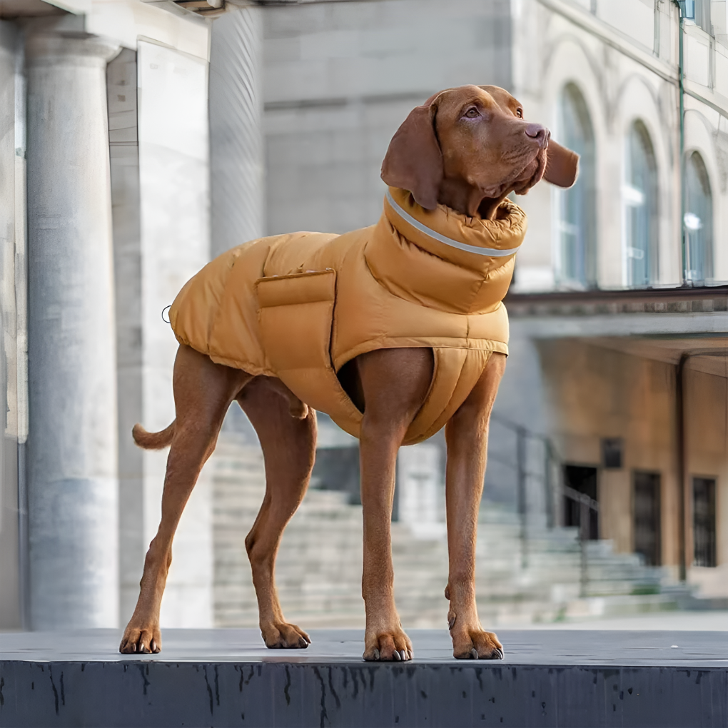 Dog Vest – Weather-Ready Warmth for Winter