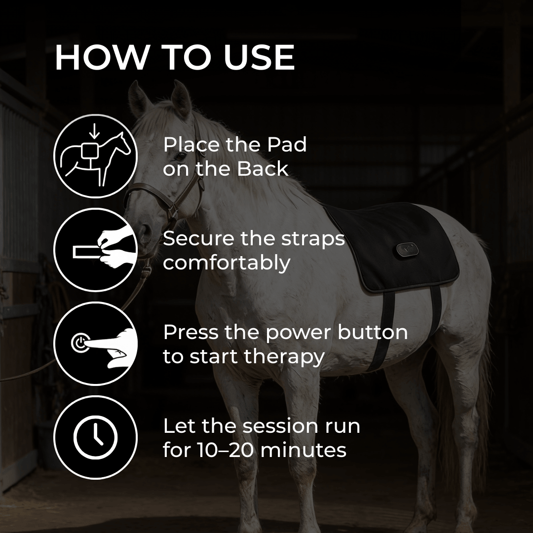 LED Back Wrap for Horses with Red Light Therapy