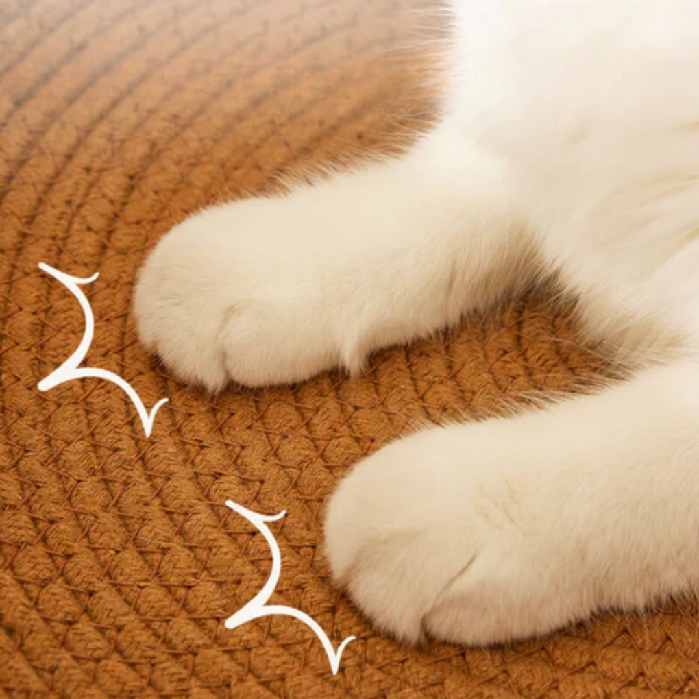 Cat Scratching Bed