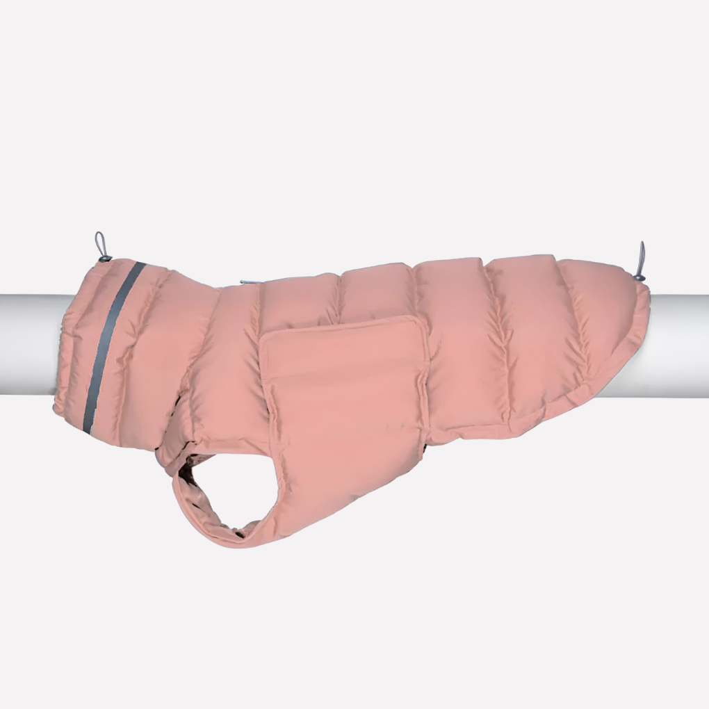 Dog Vest – Weather-Ready Warmth for Winter