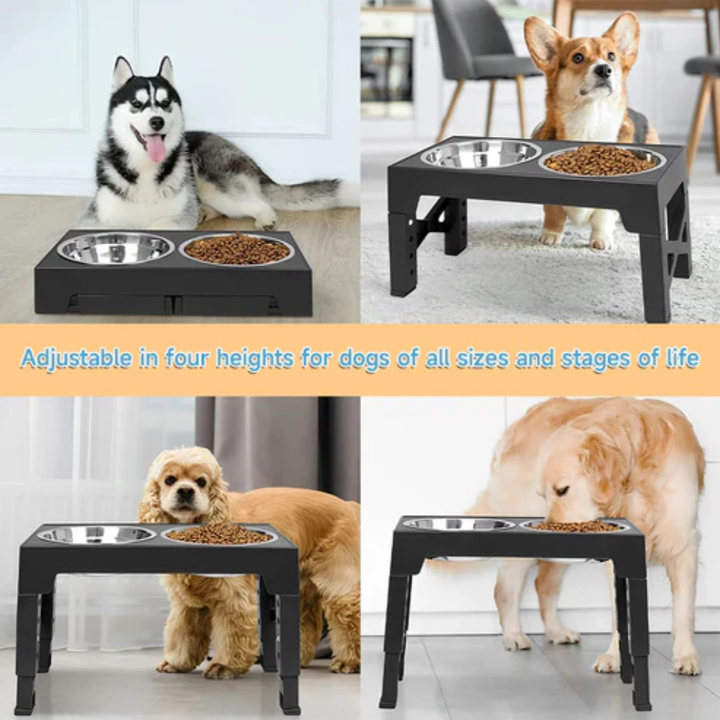 Adjustable Tilt & Stainless Steel & Slow-Feeding Bowls