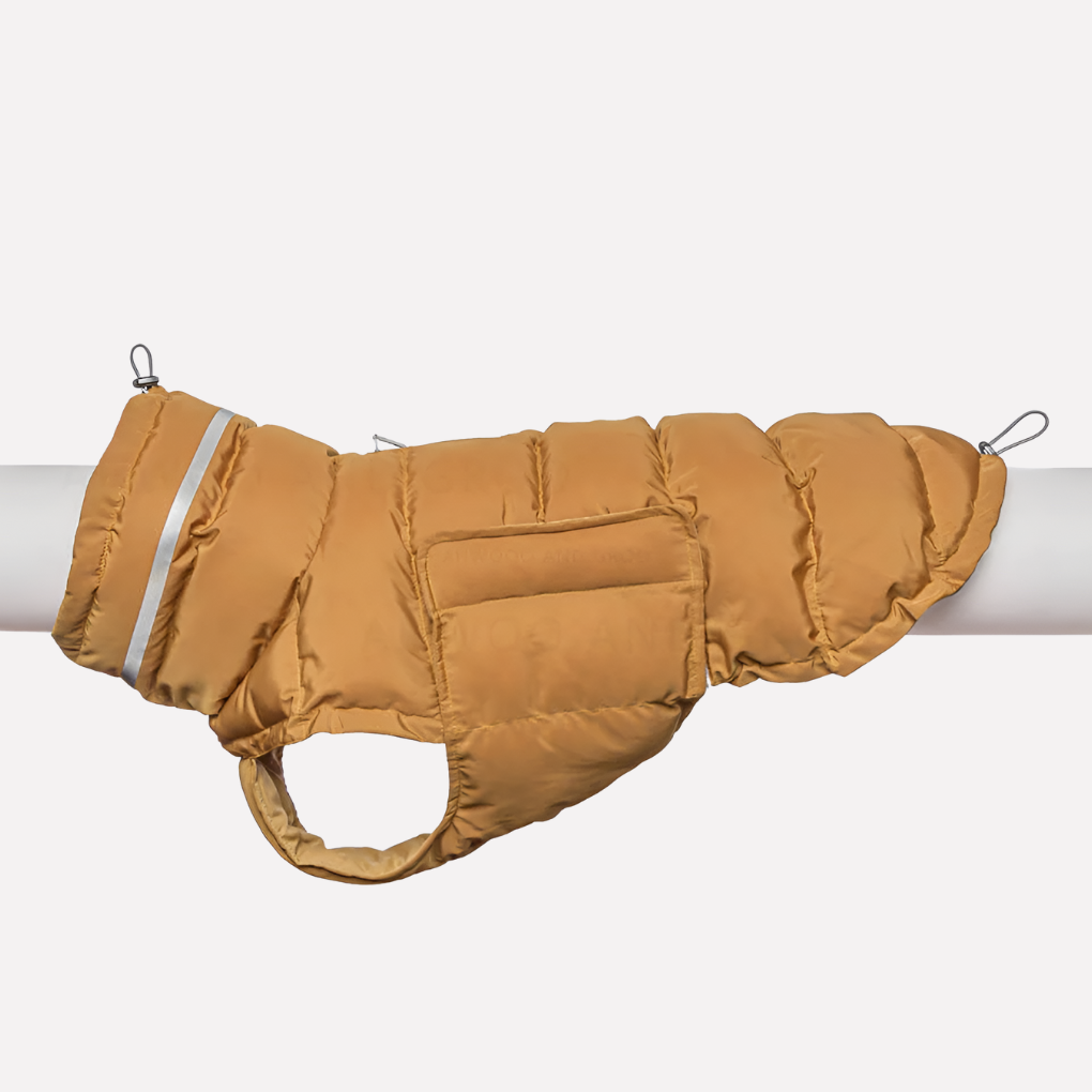 Dog Vest – Weather-Ready Warmth for Winter