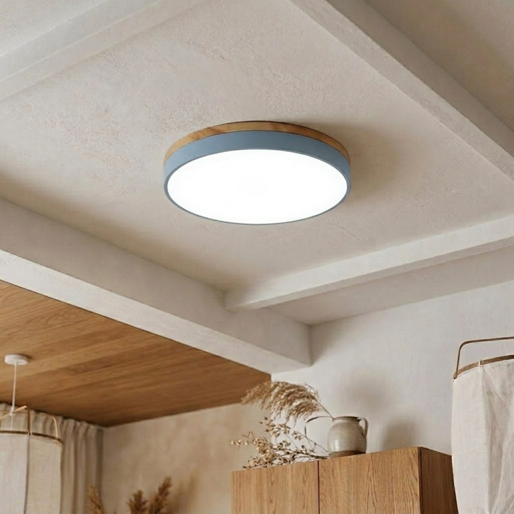 Round Disc Ceiling Light – Flat, Flush-Mounted Light