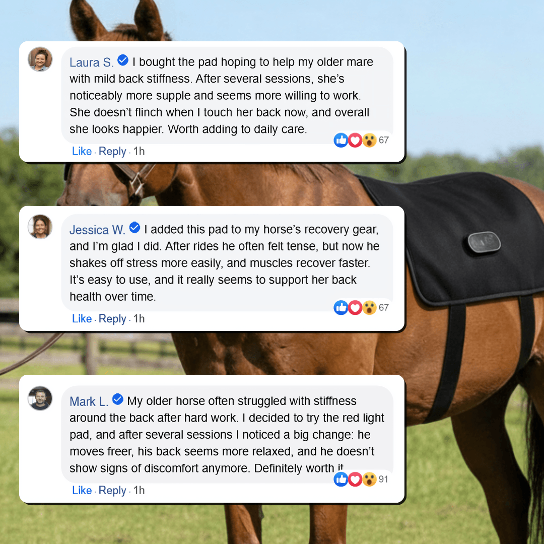LED Back Wrap for Horses with Red Light Therapy
