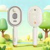 Electric Spray Massage Comb for Hair Care