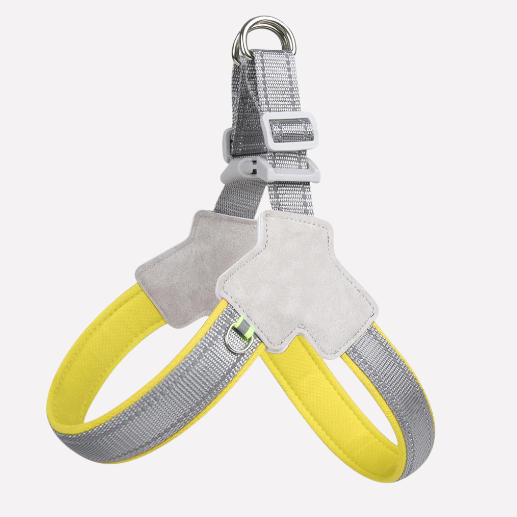 Dog Harness – No-Pull Design for Walking and Travel