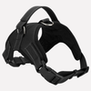 Pets Collar & Lead Set