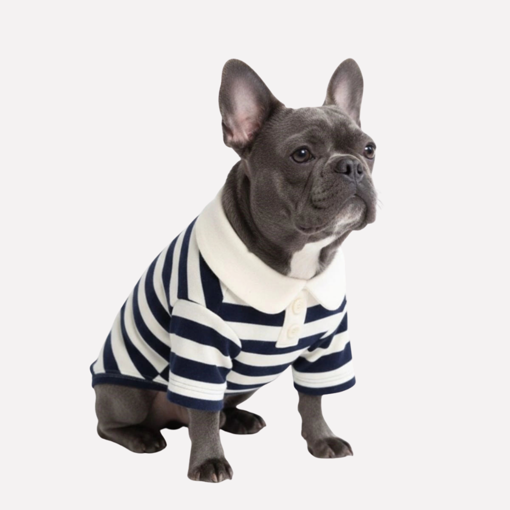 Classic Striped Polo Dog Shirt