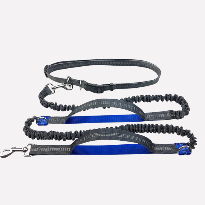 Hands-Free Dog Running Leash