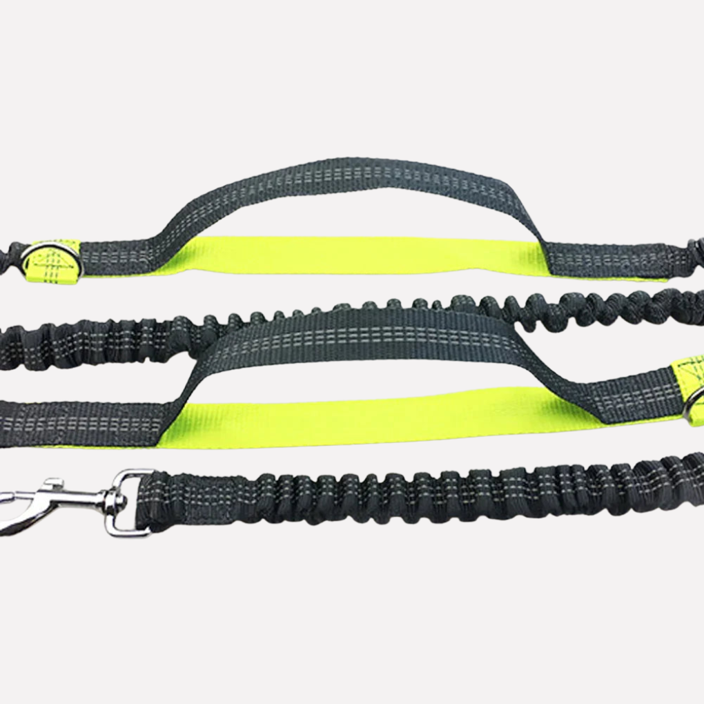 Hands-Free Dog Running Leash