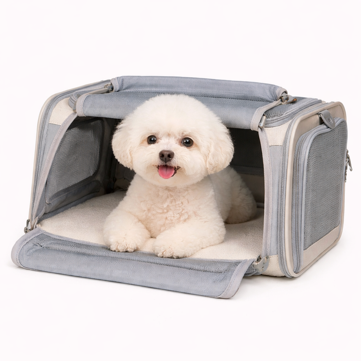 Dog and Cat Carrier