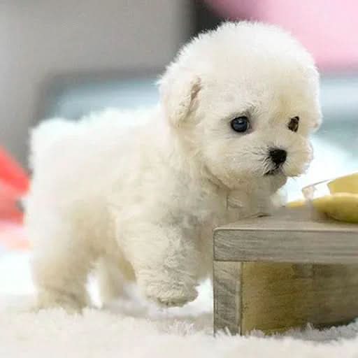 Interactive Plush Puppy Toy for Children with Movement and Sound