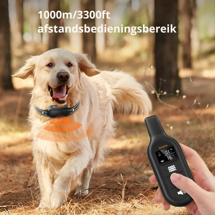ProTrain – Rechargeable, Waterproof Dog Training Collar