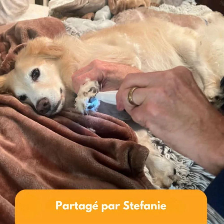 SilentPet Trimmer – Quiet Trimmer for Sensitive Areas on Dogs and Cats