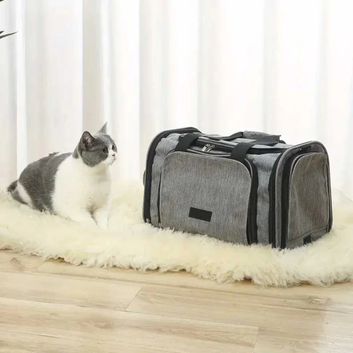 Cabin-Approved Travel Bag for Small Pets