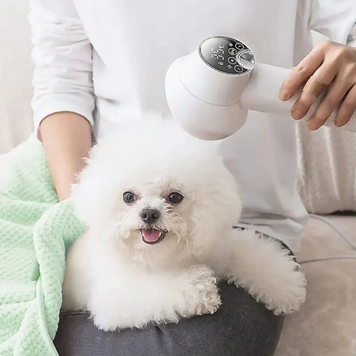 2‑in‑1 Quiet Pet Dryer & Brush