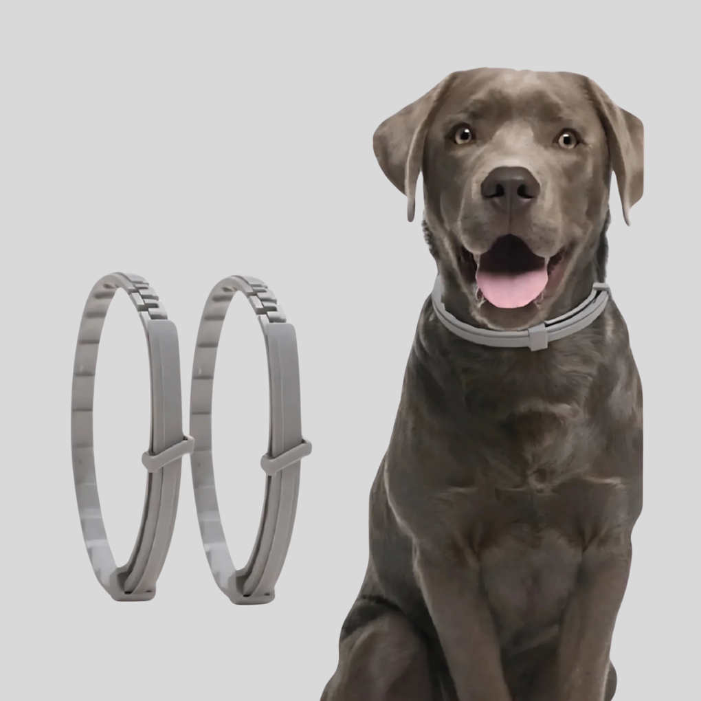 Natural Anti-Tick Pet Collar