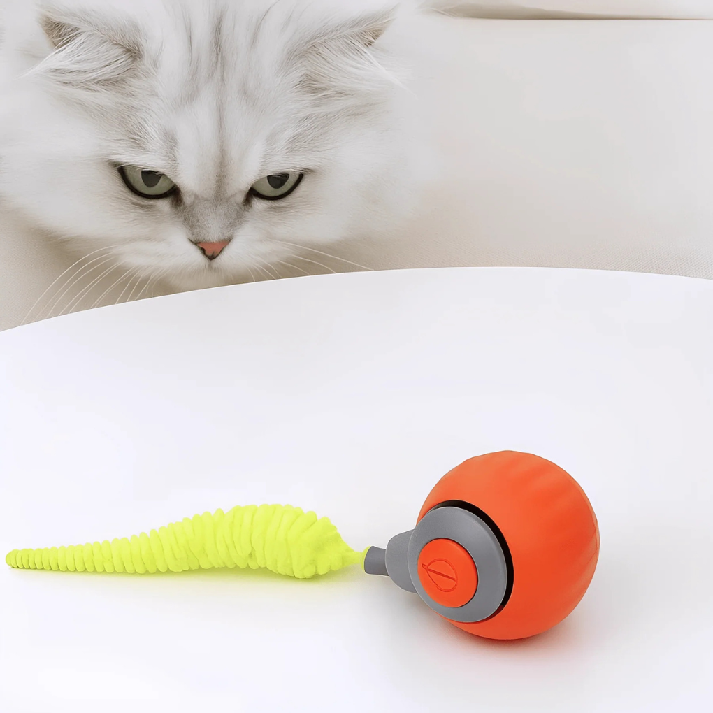 Interactive Rolling Ball Toy