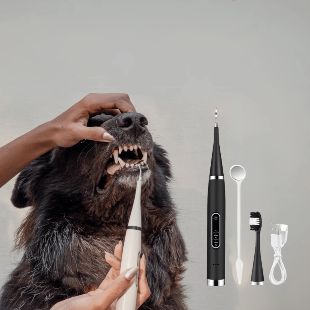 Ultimate Cleaning Brush Kit