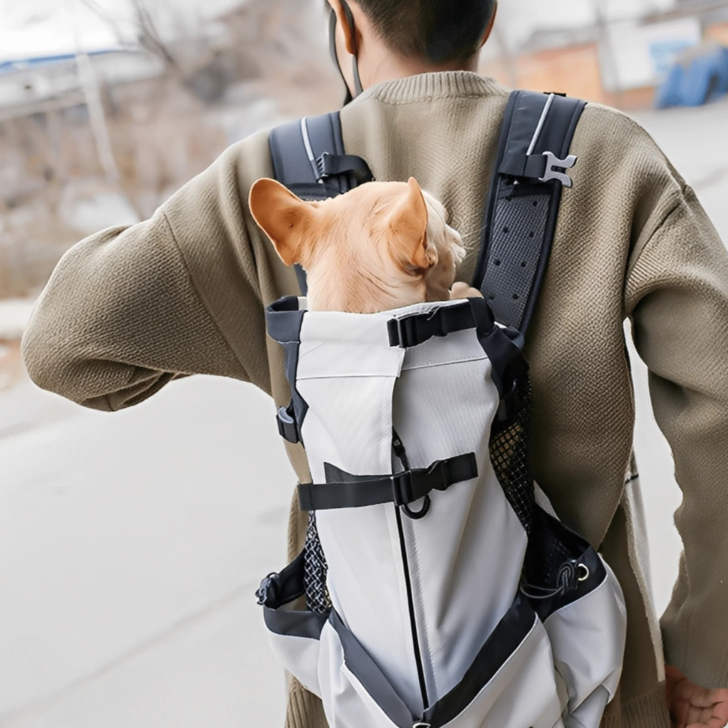 Hands-Free Pet Travel Backpack for Dogs