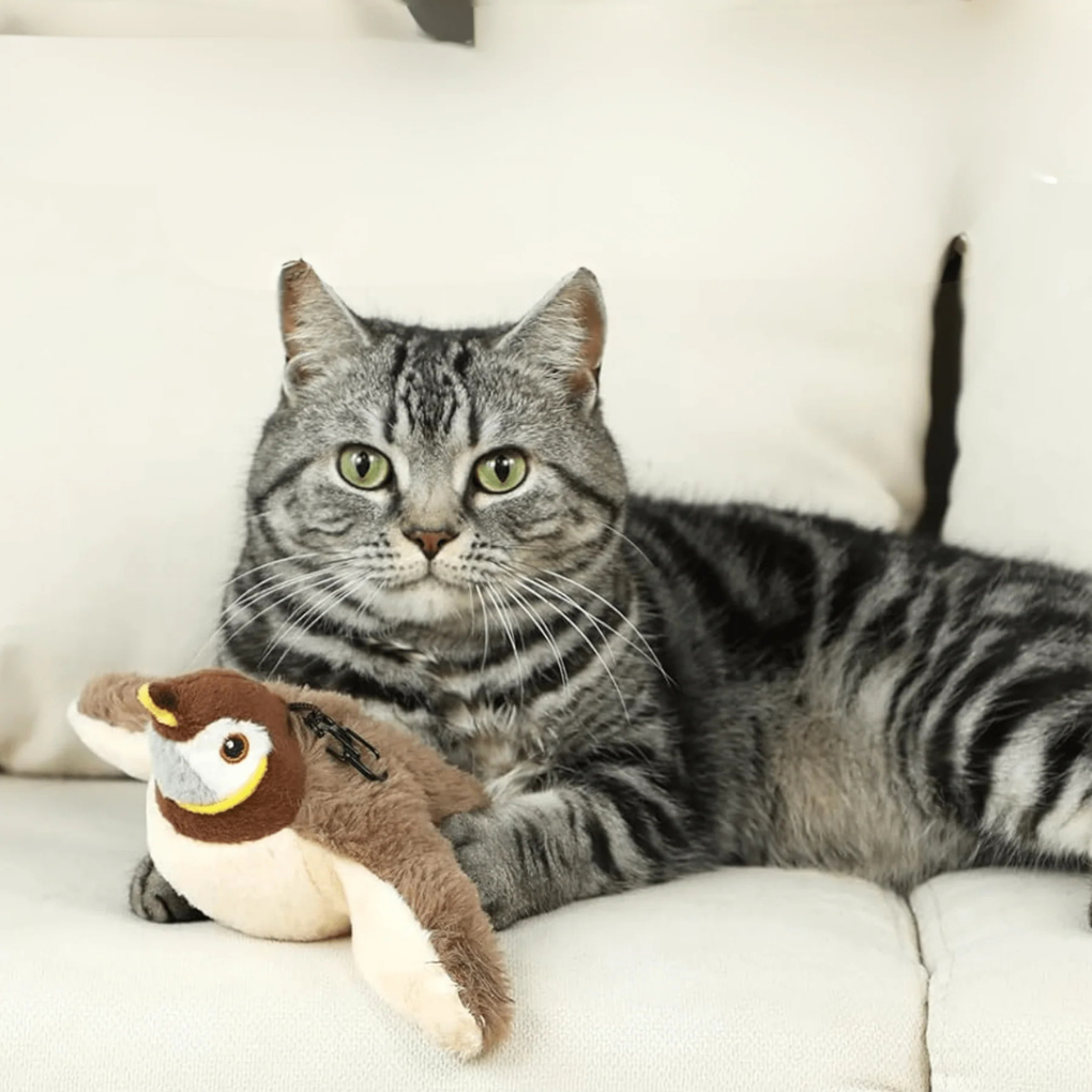 Interactive Bird Cat Toy