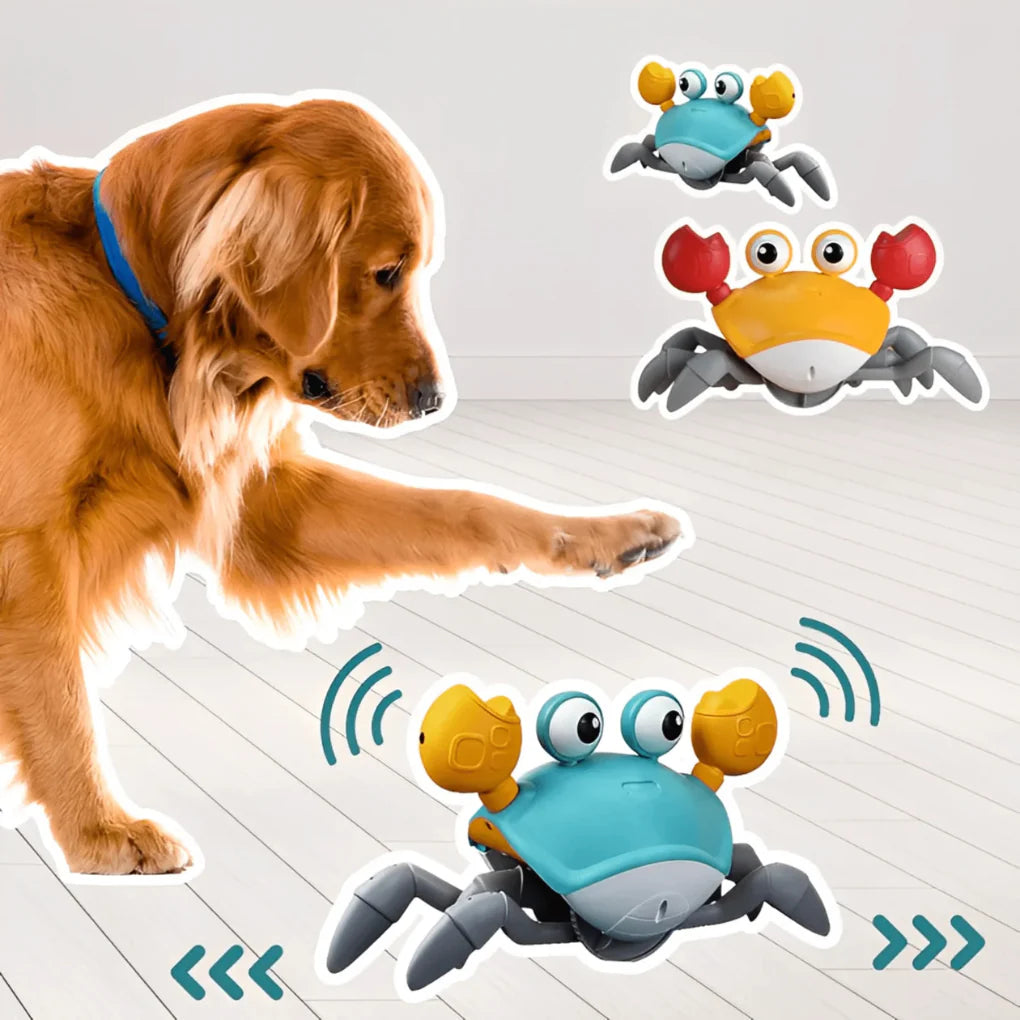 Crabby Dog Toy