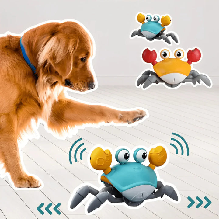 Crabby Dog Toy