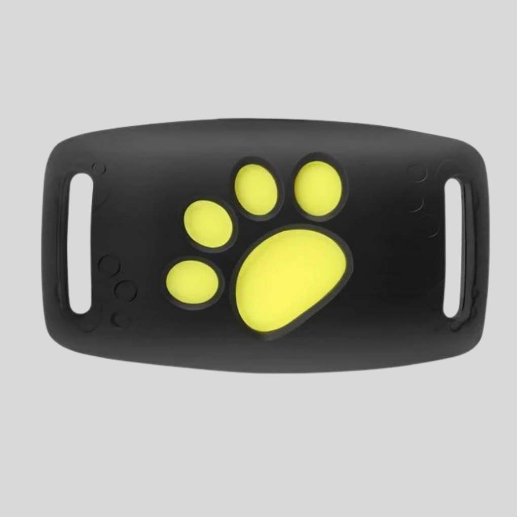 GPS Tracker for Pets– Real-Time Location Monitoring