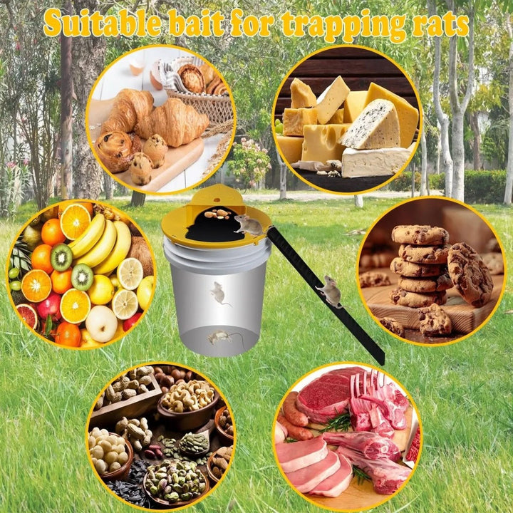 Eco Stiller Mouse Trap – Automatic Humane Mouse Trap