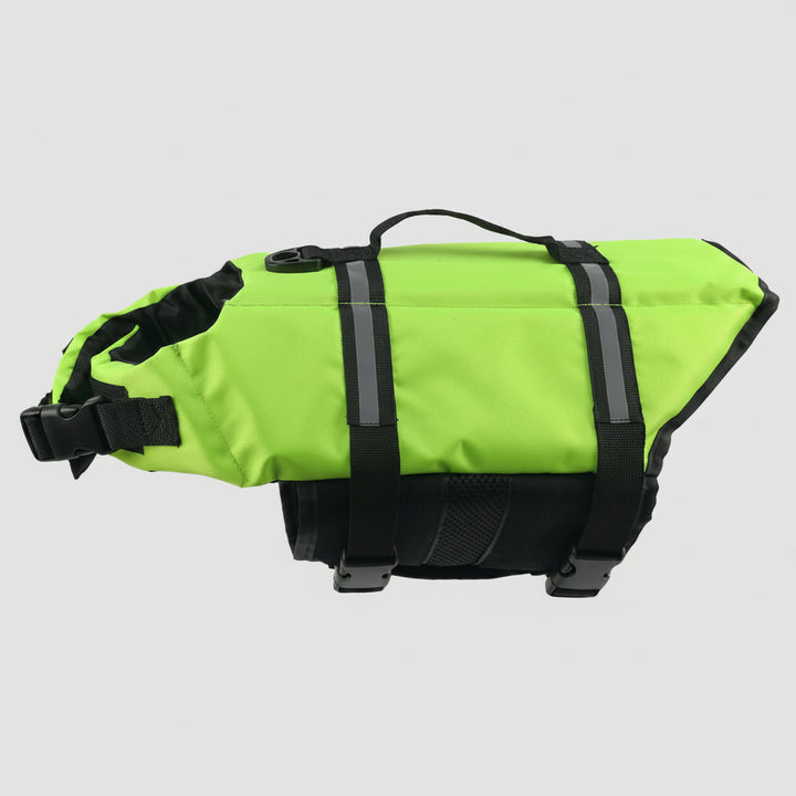Dog Life Jacket Safety & Comfort for Water Adventures