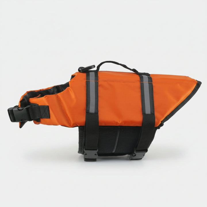 Dog Life Jacket Safety & Comfort for Water Adventures