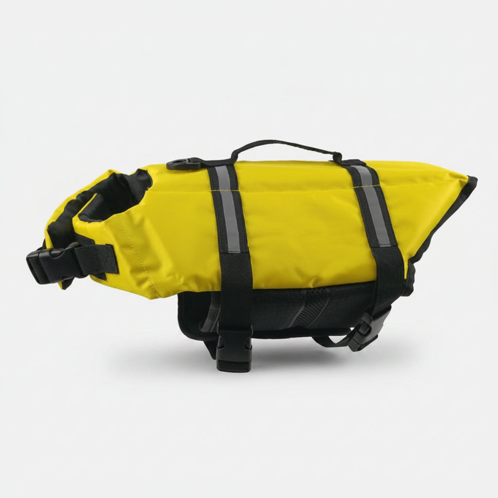 Dog Life Jacket Safety & Comfort for Water Adventures