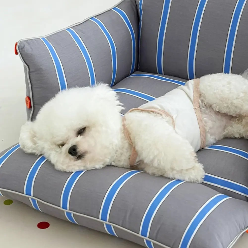 Dog Sofa Bed – Comfortable Raised Pet Bed for Dogs