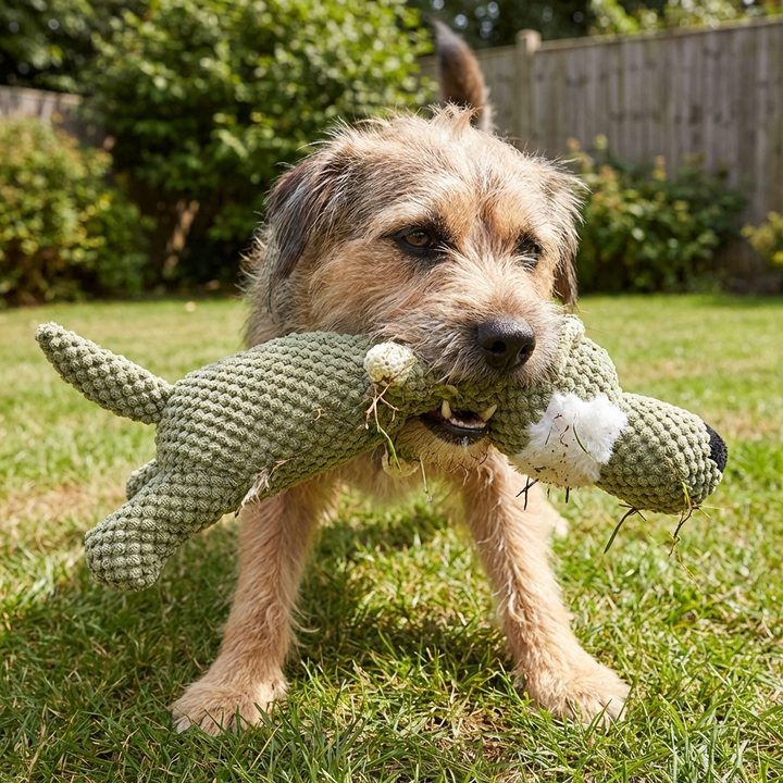 Durable Dog Toy