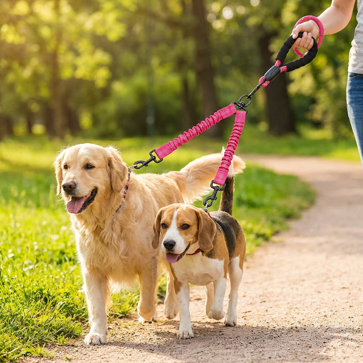 DualEase No-Tangle Dog Lead – Control & Comfort for Two Dogs
