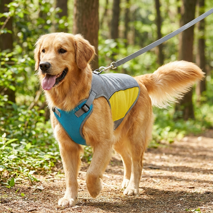 Cooling Comfort Dog Vest – Lightweight Relief for Hot Days