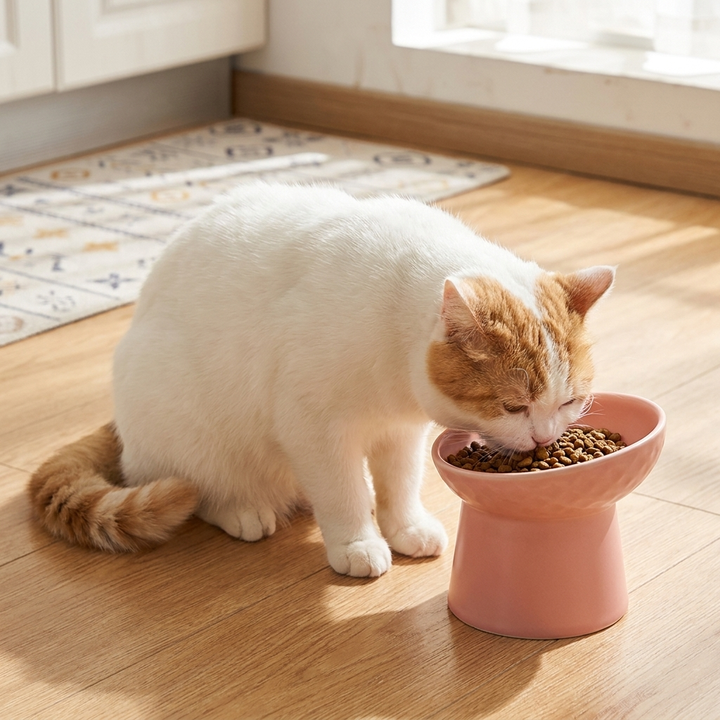 Nordic Style Tilted Ceramic Cat Bowl