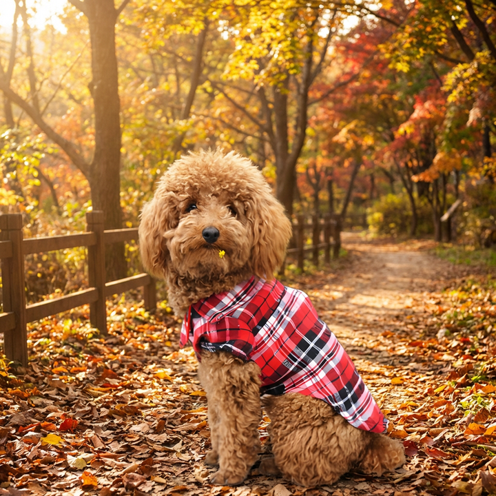 Classic Plaid Dog Shirt