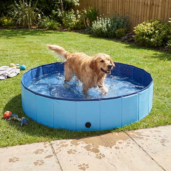 Foldable Dog Pool With Anti-Slip Base