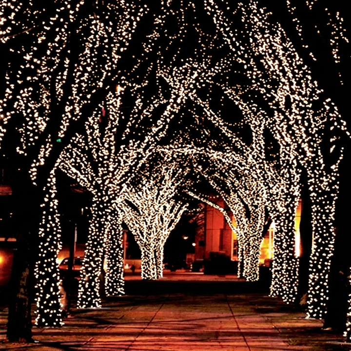 17 M 100 LED Fairy Light String