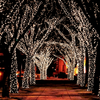 17 M 100 LED Fairy Light String