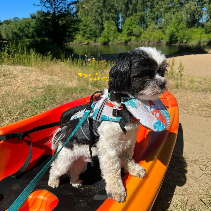 Professional Pet Life Vest Swimming Clothes