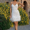 Women’s Sequin Tassel Mini Dress with V-Neck and Feather Detail