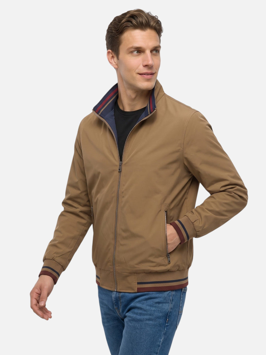 Men's Striped Zip-Up Harrington Jacket